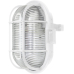 ISO-Oval-Armatur 60W Ws X