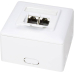 Logilink Cat 6 Ral 9003 Ap-Netzwerkdose