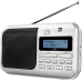Dual Dab 4 Dab+Radio