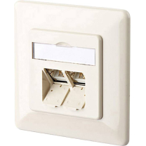 Btr Cat 6 Ral 1013 Up- Netzwerkdose