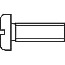 Zylinderkopfschraube DIN84 - 4.8zn M 6x10 (1)