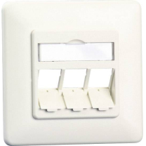 Btr Cat 6A Ral 9010 Up-Netzwerdose Unbe