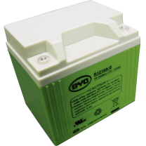 Akku 12V 10Ah Lithium BYD