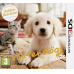 Nintendo DS 3d Nintendogs Retriever + Friends