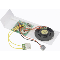 Voice-Recorder f&uuml;r Gru&szlig;karten