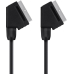 Belkin Scart Anschlusskabel SCART-Stecker / SCART-Stecker 2 m