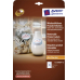 Avery Etiketten L7101rev-20 Produkt Avery Etiketten L7101rev-20 Produkt
