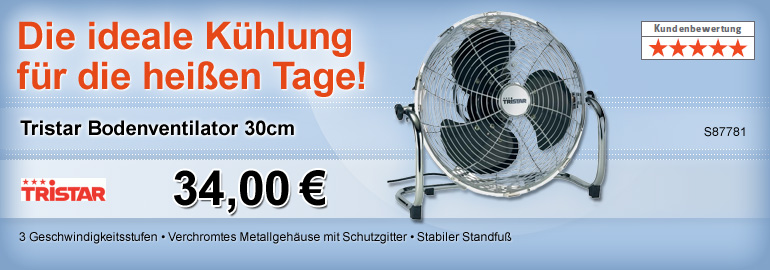 Bodenventilator 30cm