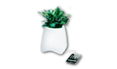 Wohnaccessoires